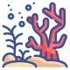 Coral icon