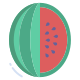 Water Melon icon