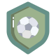 Shield icon