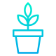 阳光下的植物 icon