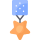 Medal icon