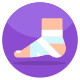 Ankle Fracture icon