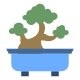 Bonsai Tree icon