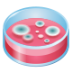 placa de petri-emoji icon