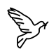 Pigeon icon