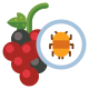 Bugs icon