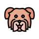 Havanese Dog icon