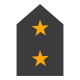 Badge icon