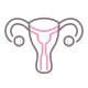 Uterus icon