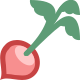 Radish icon