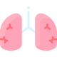 Lungs icon