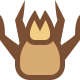 Acaro icon