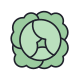 Cabbage icon