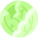 Cabbage icon