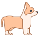 Corgi icon