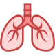 Lungs icon