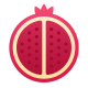 Pomegranate icon