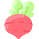 Radish icon