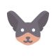 Chihuahua icon