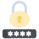 Password icon