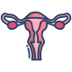 Utérus icon