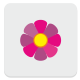 Blume icon