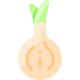 洋葱 icon