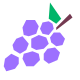 pedaços de uvas experimentais icon