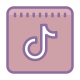 TikTok icon