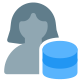 Data storage by a user for the company icon