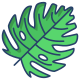 Monstera Leaf icon