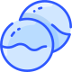 Galletas icon