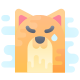 悲しい猫 icon