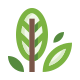 Leaves icon