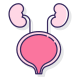 Urinary Tract icon
