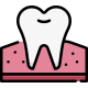 Premolar icon