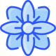 Clematis icon