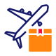 Airplane icon