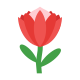 -Protea-Blume icon