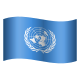 United Nations icon