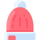 Beanie icon