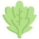 Arugula icon