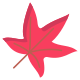 Liquidambar Leaf icon