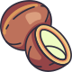 Coconut icon