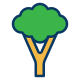 Broccoli icon