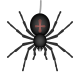 Spider icon