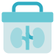 external-Organ-Donation-charity-hidoc-kerismaker-2 icon