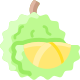 Durian icon