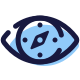 Compass Eye icon