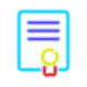 Certificate icon